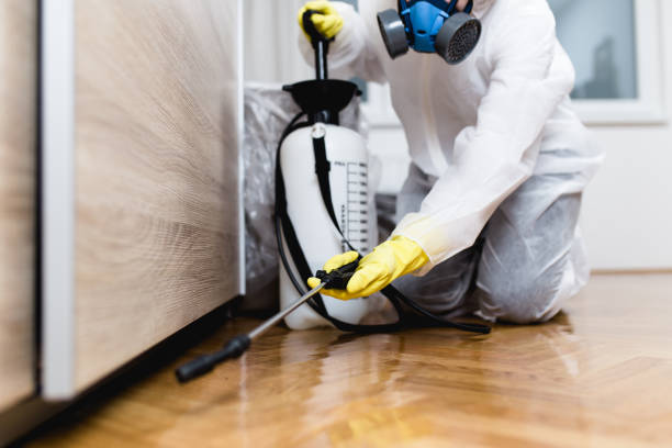 Pest Control Cost in Spring Valley Lake, CA