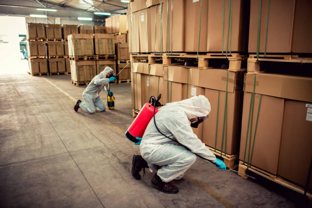 Professional Pest Control in Spring Valley Lake, CA