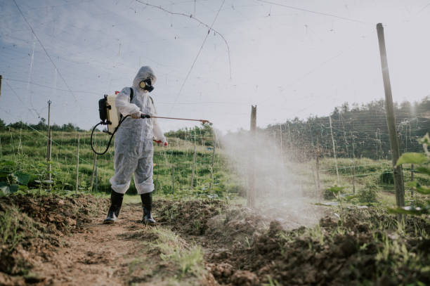 Best Pest Prevention Services  in Spring Valley Lake, CA