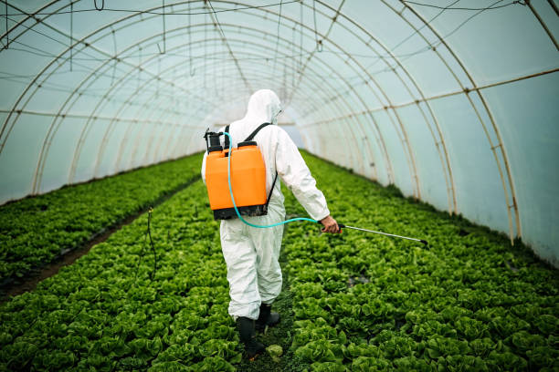 Best Commercial Pest Control Services  in Spring Valley Lake, CA