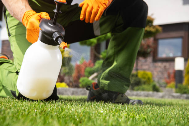 Best Bed Bug Extermination  in Spring Valley Lake, CA