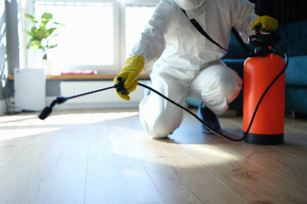 Best Pest Prevention Services  in Spring Valley Lake, CA