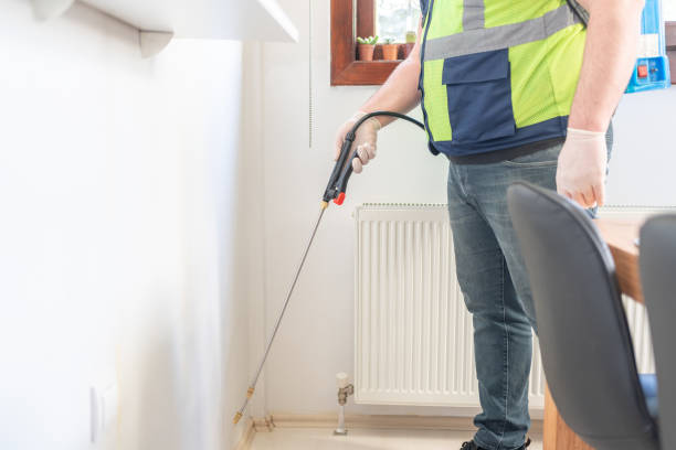  Spring Valley Lake, CA Pest Control Pros