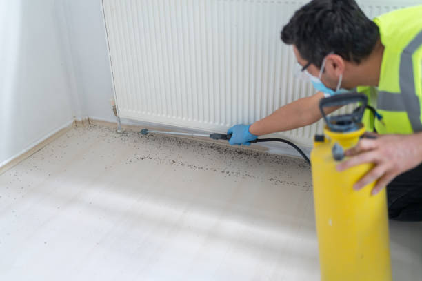 Best Residential Pest Control  in Spring Valley Lake, CA